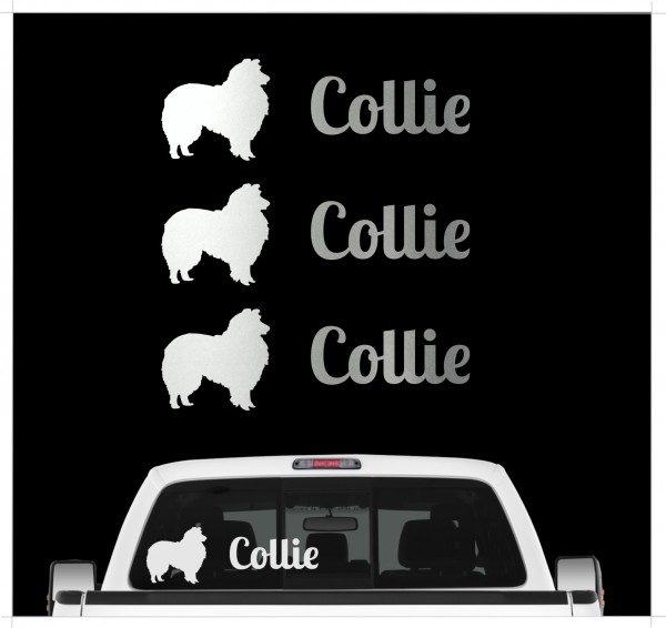 A_3er_CollieS