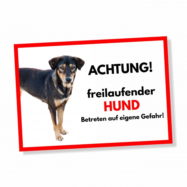 SchildFrei_Hund4_1