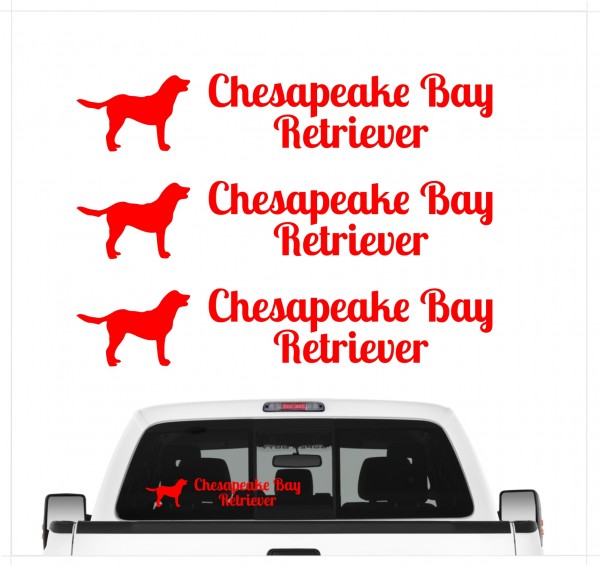 Chesapeake Bay Retriever Chessie CBR Dog 3er Set AUTOAUFKLEBER Aufkleber Hunde Hundemotiv by SIVIWONDER
