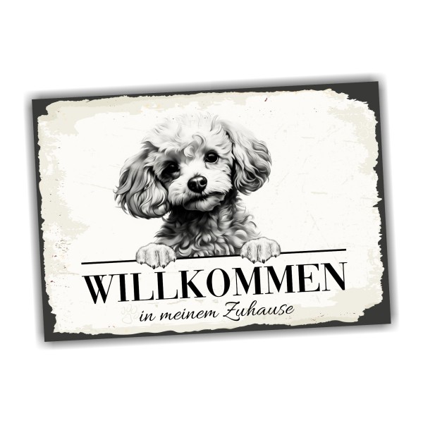 Hundeschild Willkommen Zuhause Zwergpudel Pudel Schild