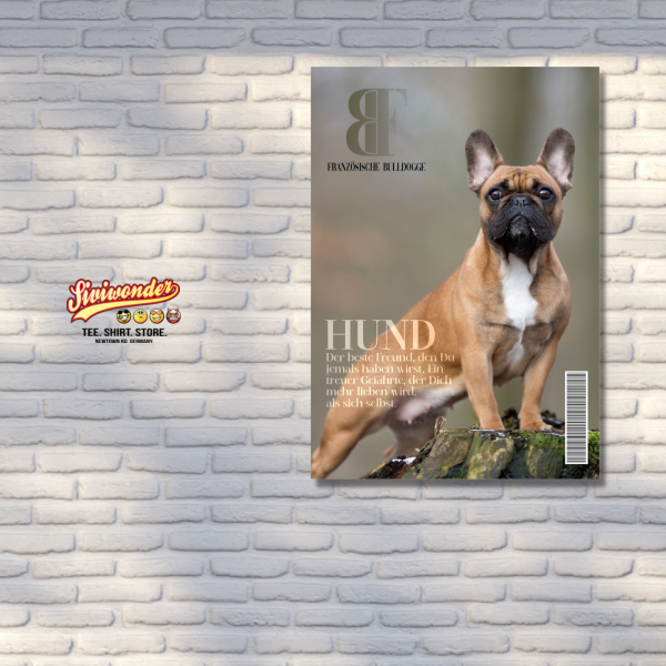 SchildMagazin_FrenchieSt3