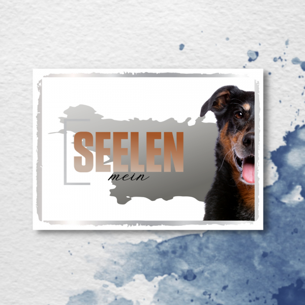 SeeleD_Beauceron2
