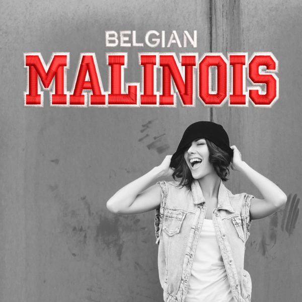 ExBeanie_BelgianMalinois2