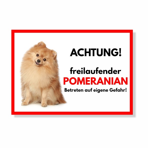 SchildFrei_PomeranianSitz