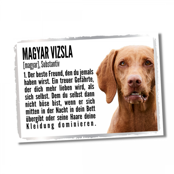 Duden_MagyarVizsla1