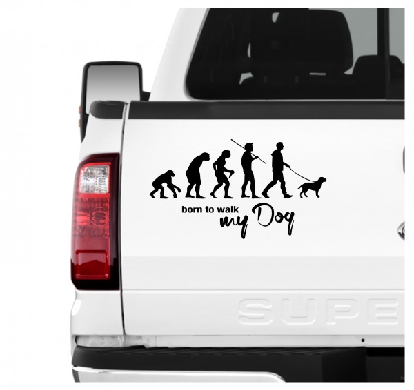 Dog Evolution Born to Walk Hunde Aufkleber Sticker Autoaufkleber Wandtattoo Tattoo