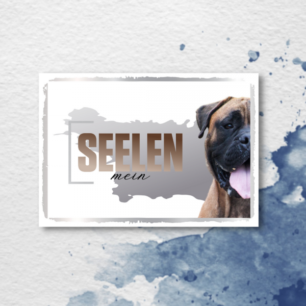 SeeleD_Bullmastiff2