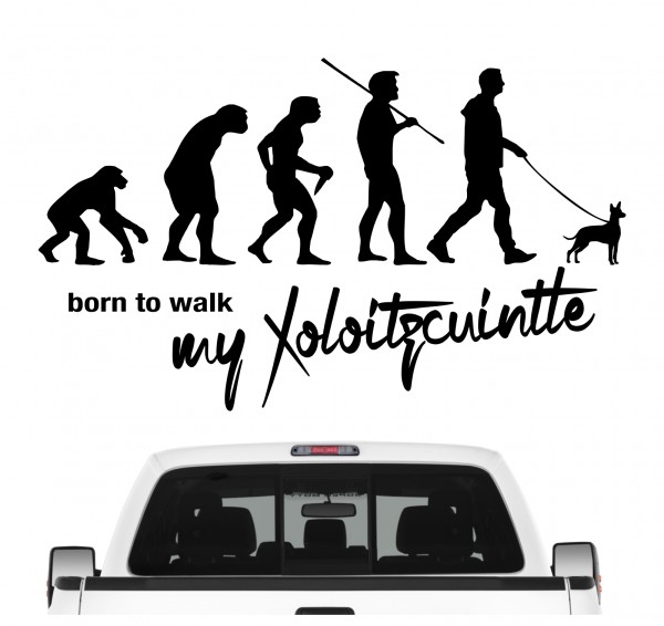 Xoloitzcuintle Xolo Xolito Mexiko Nackthund Evolution Born to Walk Hunde Aufkleber Sticker Autoaufkleber Wandtattoo Tattoo