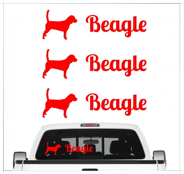 A_3er_BeagleR