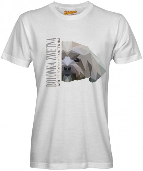 UTPoly_BolonkaZwetnaW