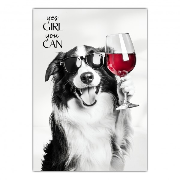 SchildYouCan_BorderCollie1