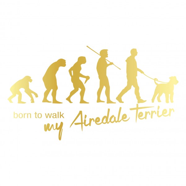 AEvo_AiredaleG