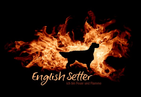 UTFlamme_EnglSetterMo