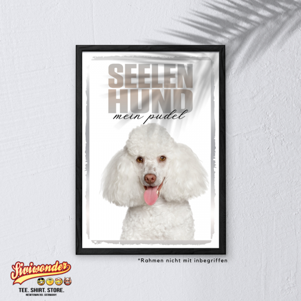 SeeleR_PudelW3