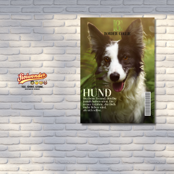 SchildMagazin_BorderCollie3