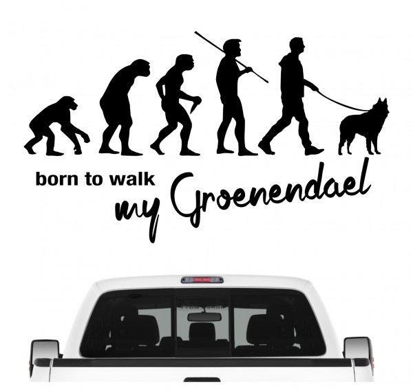 Groenendael Belgischer Schäferhund Berger Belge Sheepdog Evolution Born to Walk Hunde Aufkleber Sticker Autoaufkleber Wandtattoo Tattoo