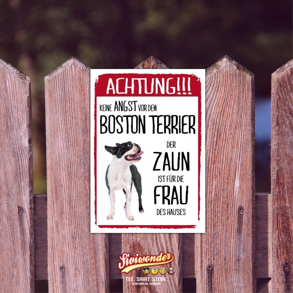 SchildZaun_BostonTerrier1