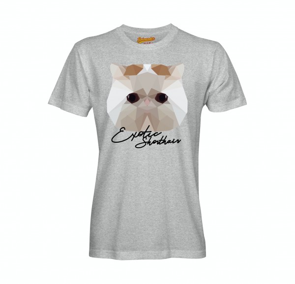 UT_ExoticShorthairAsh