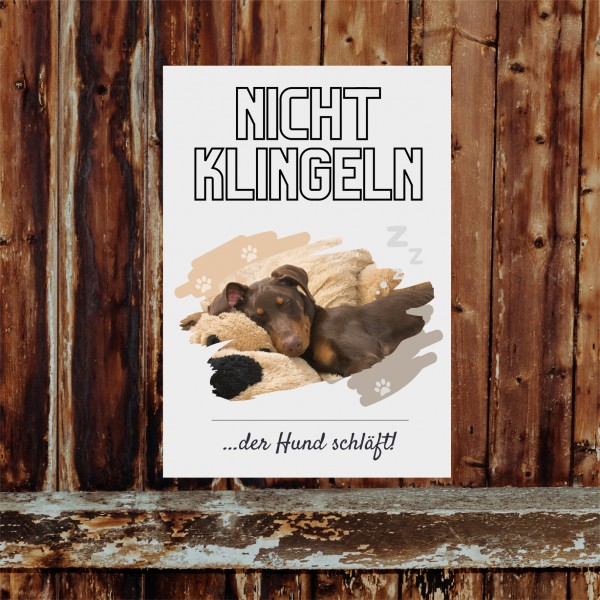 Dobermann Dobi Hund nicht klingeln schlafen Schild Dog Hund Spruch Türschild Hundeschild Wall Art Gefährte
