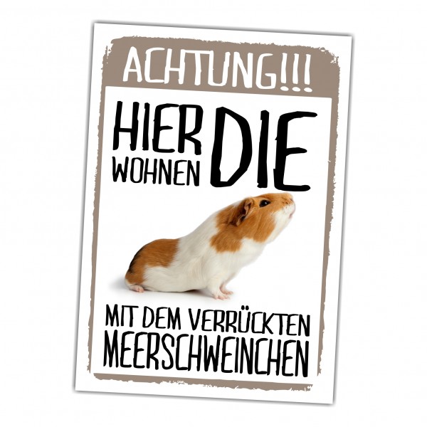Hier wohnen die ... mit dem Verrückten Meerschweinchen Türschild Warnschild Spruch Schild happy Design by Siviwonder