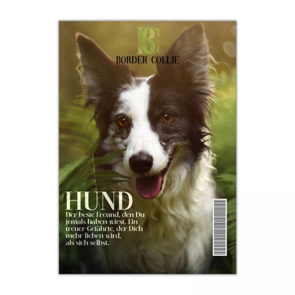 SchildMagazin_BorderCollie1