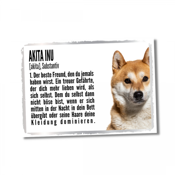 Duden_AkitaInu1