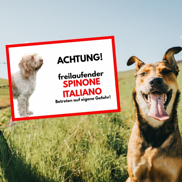 SchildFrei_SpinoItali1