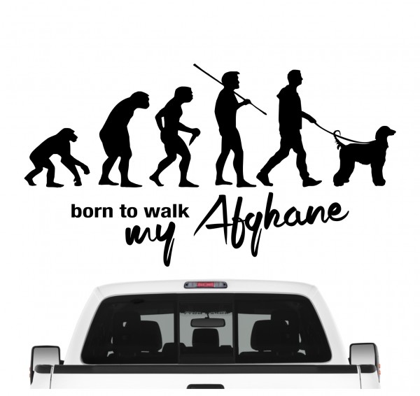 Afghane Afghanischer Windhund Spay Eastern Greyhound Persian Evolution Born to Walk Hunde Aufkleber Sticker Autoaufkleber Wandtattoo Tattoo