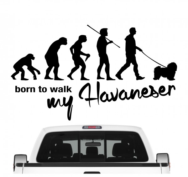 Havaneser Havanese Kuba Bichon Havana Bichon Habanero Evolution Born to Walk Hunde Aufkleber Sticker Autoaufkleber Wandtattoo Tattoo