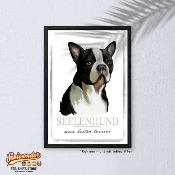 SeeleW_BostonTerrier3