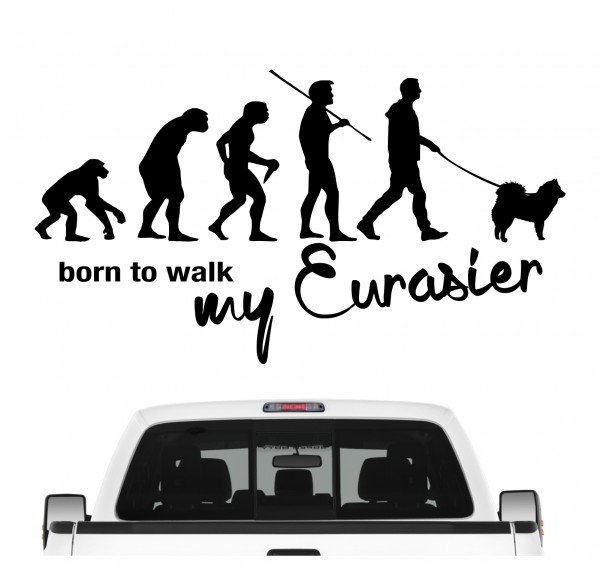 Eurasier Eurasian Spitz Spitze Wolfsspitz Samojede Evolution Born to Walk Hunde Aufkleber Sticker Autoaufkleber Wandtattoo Tattoo