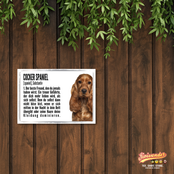 Duden_CockerSpaniel2_2