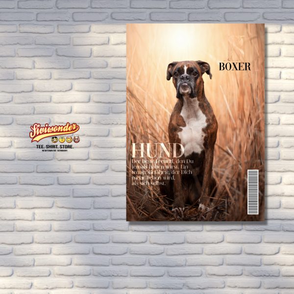 SchildMagazin_Boxer3