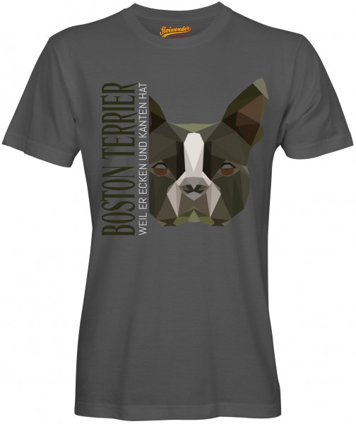UTPoly_BostonTerrierDG