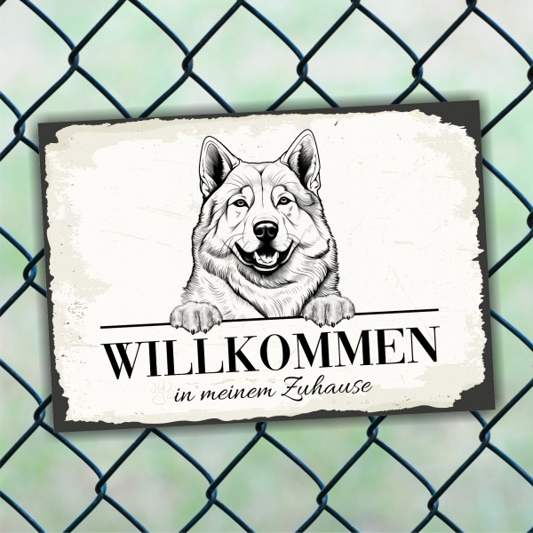 Hundeschild Willkommen Zuhause Akita Inu No.1 Dog Schild Spruch Türschild Warnschild