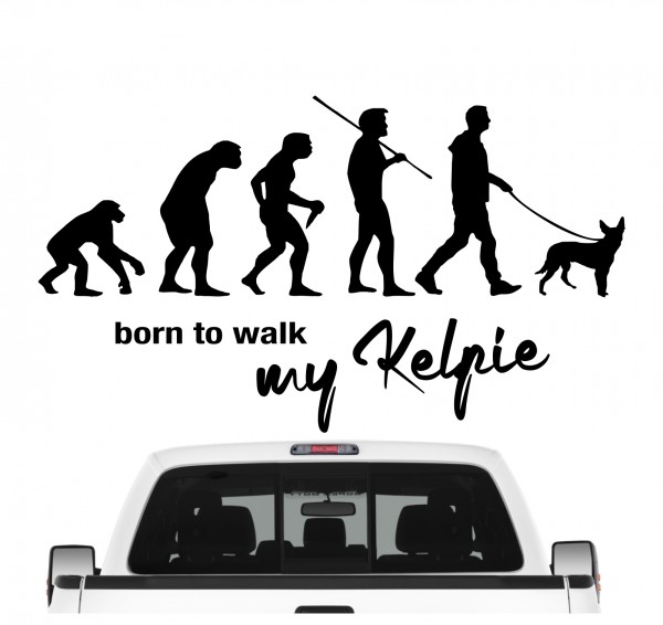 Kelpie Australian Barb Evolution Born to Walk Hunde Aufkleber Sticker Autoaufkleber Wandtattoo Tattoo