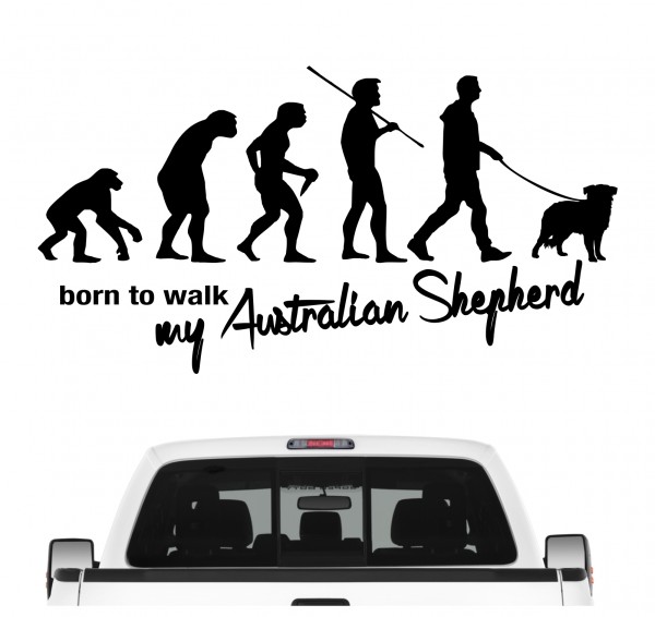 Australian Shepherd Aussie Australischer Schäferhund blue merle Evolution Born to Walk Hunde Aufkleber Sticker Autoaufkleber Wandtattoo Tattoo