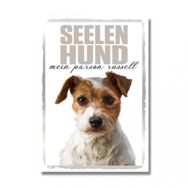 SeeleR_ParsonRussell1