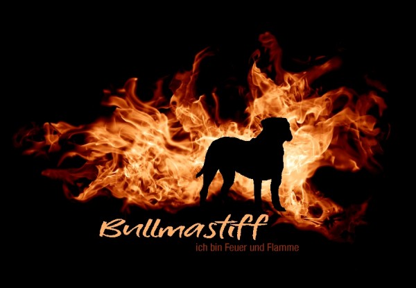 UTFlamme_BullmastiffMo