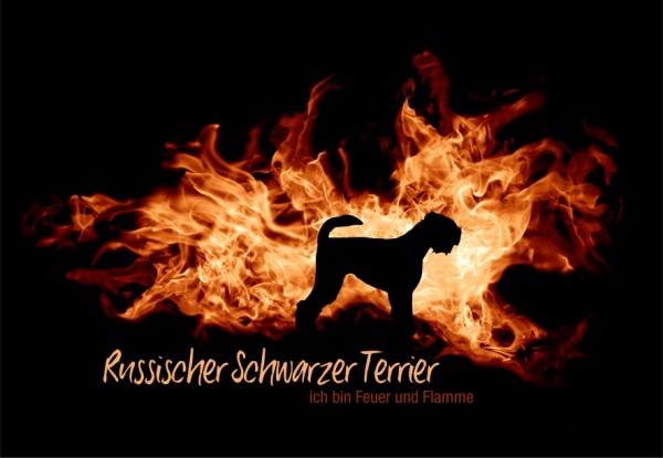 UTFlamme_RusSchwTerrMo