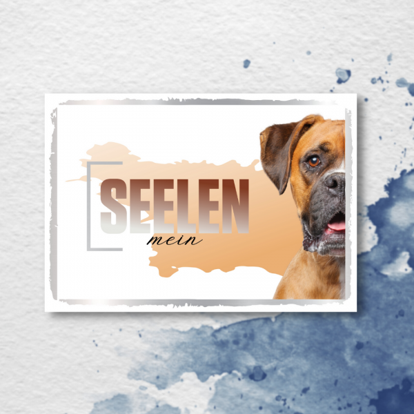 SeeleD_Boxer2