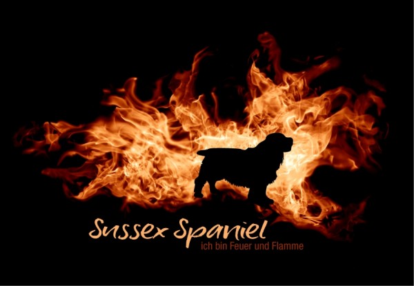 UTFlamme_SussexSpanMo