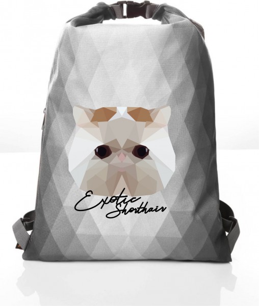 BAG_ExoticShorthair