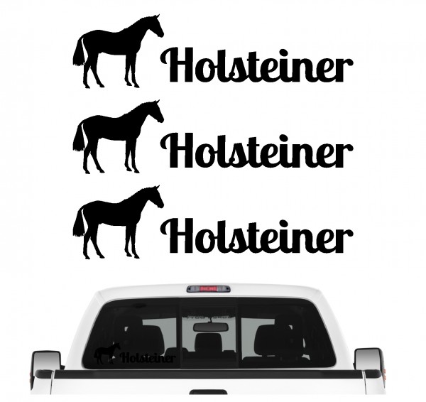 Holsteiner Sportpferd Reitpferd Vielseitigkeit Springen Dressur Pferdesport Aufkleber 3er Set Pferdeaufkleber Pferd reiten Auto Folie by SIVIWONDER