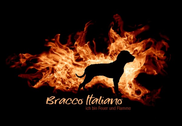 UTFlamme_BraccoItalMo