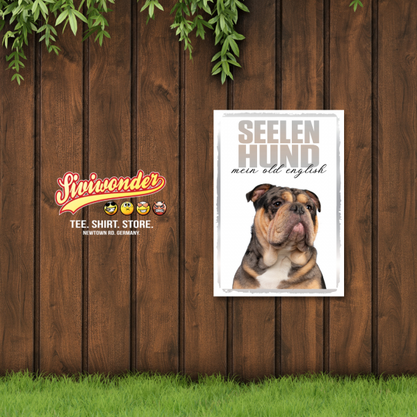 SeeleR_OldEngBulldog2_2