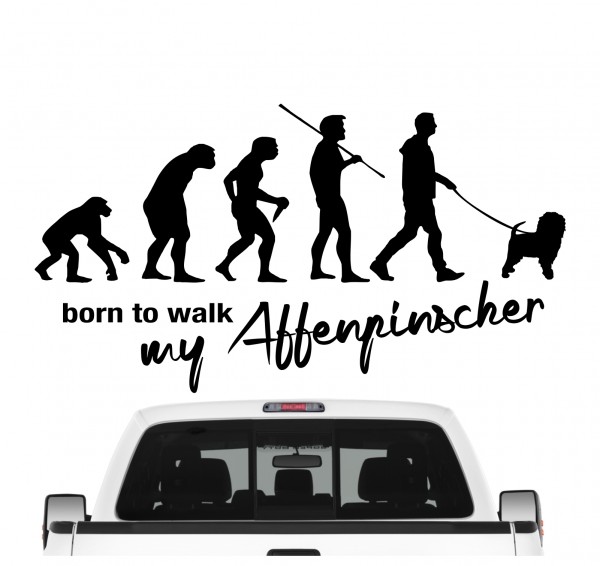 Affenpinscher Affen Affie Monkey Dog Evolution Born to Walk Hunde Aufkleber Sticker Autoaufkleber Wandtattoo Tattoo