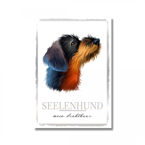 SeeleW_DeutDrahthaar161810299cd38b