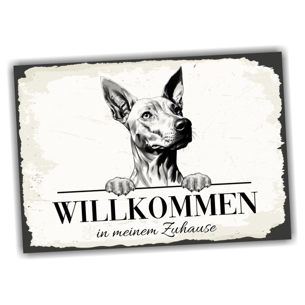 Hundeschild Willkommen Zuhause Etnahund Cirneco dell’Etna Schild