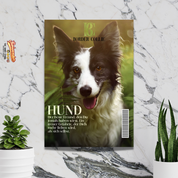 SchildMagazin_BorderCollie2